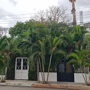 Downtown *** Merida